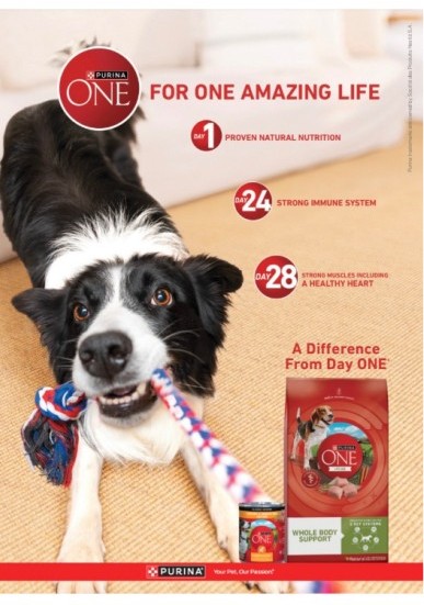 Реклама Purina ONE «For one amazing life»