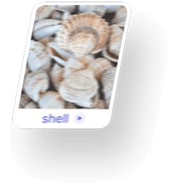 shell