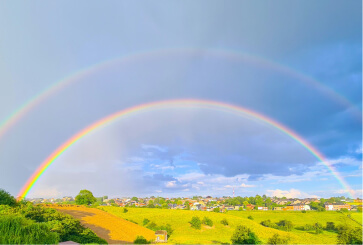 Rainbow